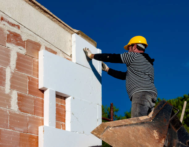 Best Spray Foam Insulation in Onarga, IL