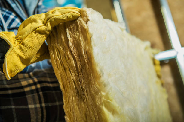 Best Spray Foam Insulation in Onarga, IL